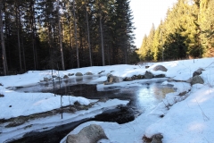 Heinämäenojan laskeutusallas