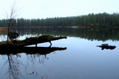 Joutsituvan "rantavahti"